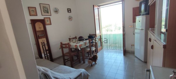 appartamento in affitto a Santa Maria del Cedro