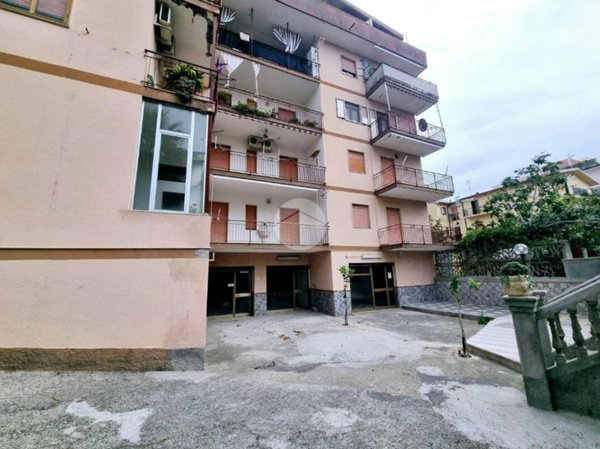 locale commerciale in affitto a Scalea