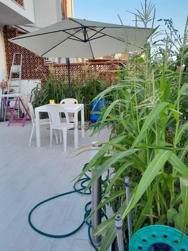 appartamento in affitto a Scalea