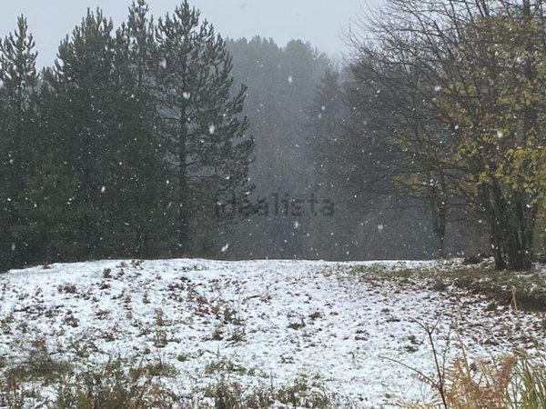 appartamento in affitto a Spezzano della Sila