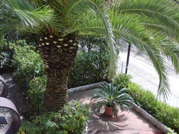 casa indipendente in affitto a Villapiana in zona Scalo