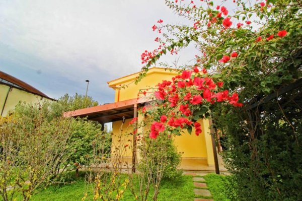 casa indipendente in affitto a Botricello