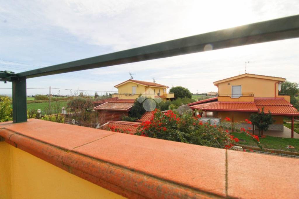 casa indipendente in affitto a Botricello