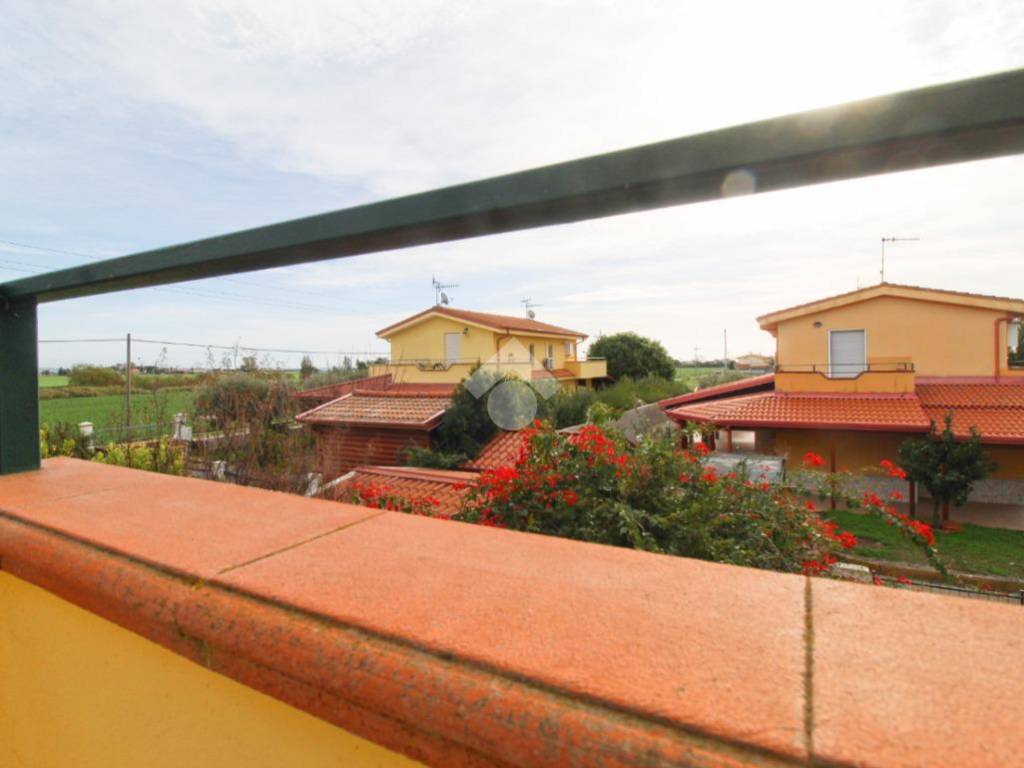 casa indipendente in affitto a Botricello