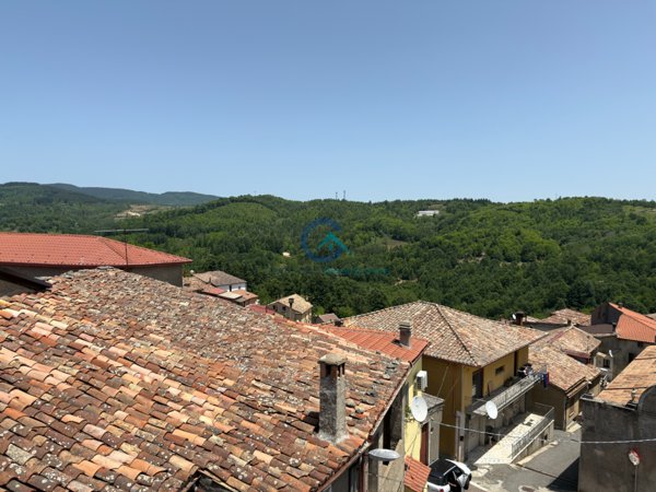 casa indipendente in affitto a Carlopoli