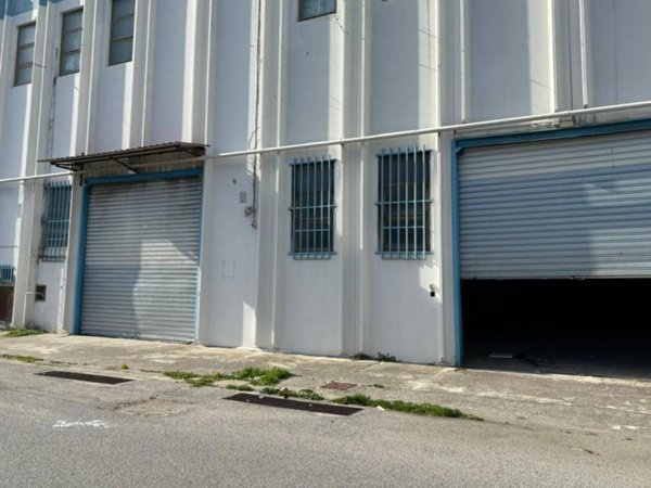 negozio in affitto a Catanzaro in zona Santa Maria