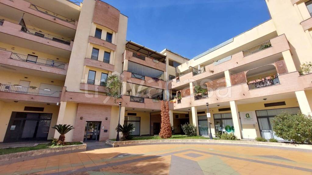 appartamento in affitto a Catanzaro