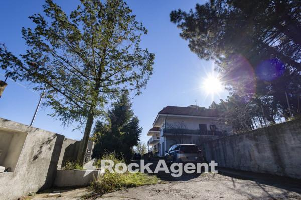 casa indipendente in affitto a Catanzaro