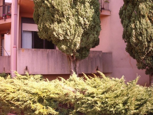 appartamento in affitto a Catanzaro in zona Centro Città