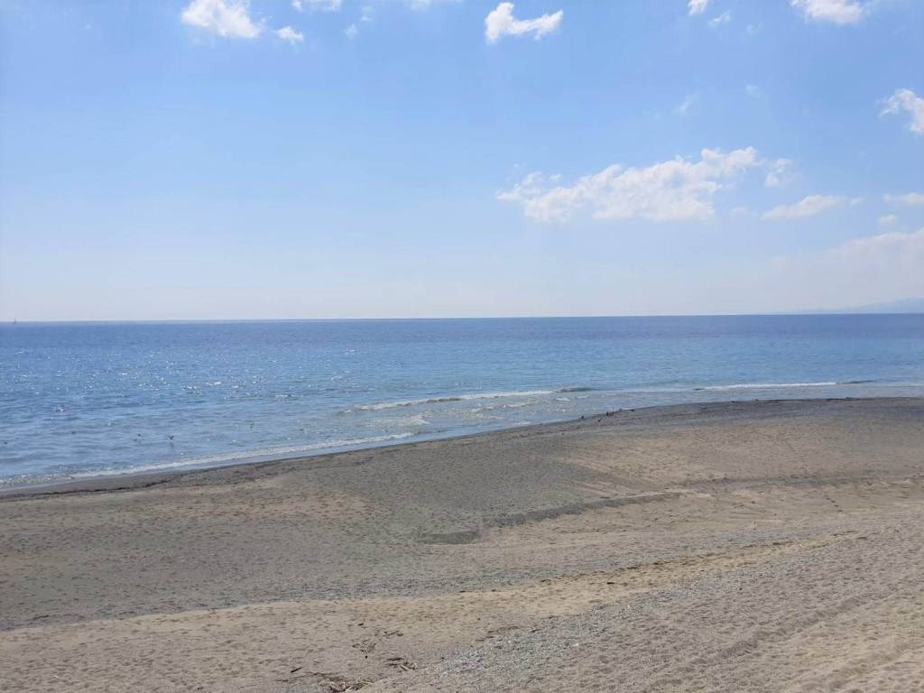 appartamento in affitto a Catanzaro in zona Catanzaro Lido