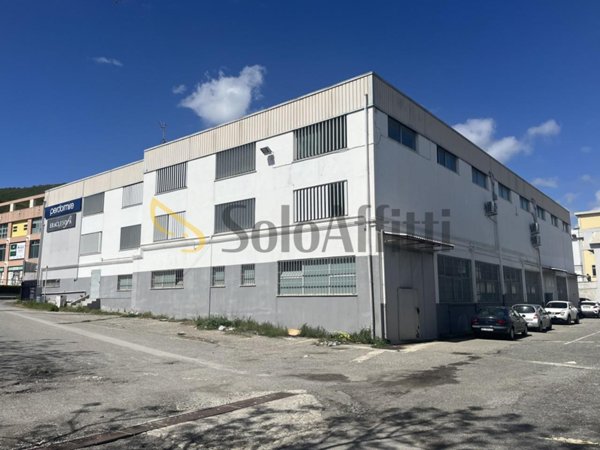 appartamento in affitto a Catanzaro