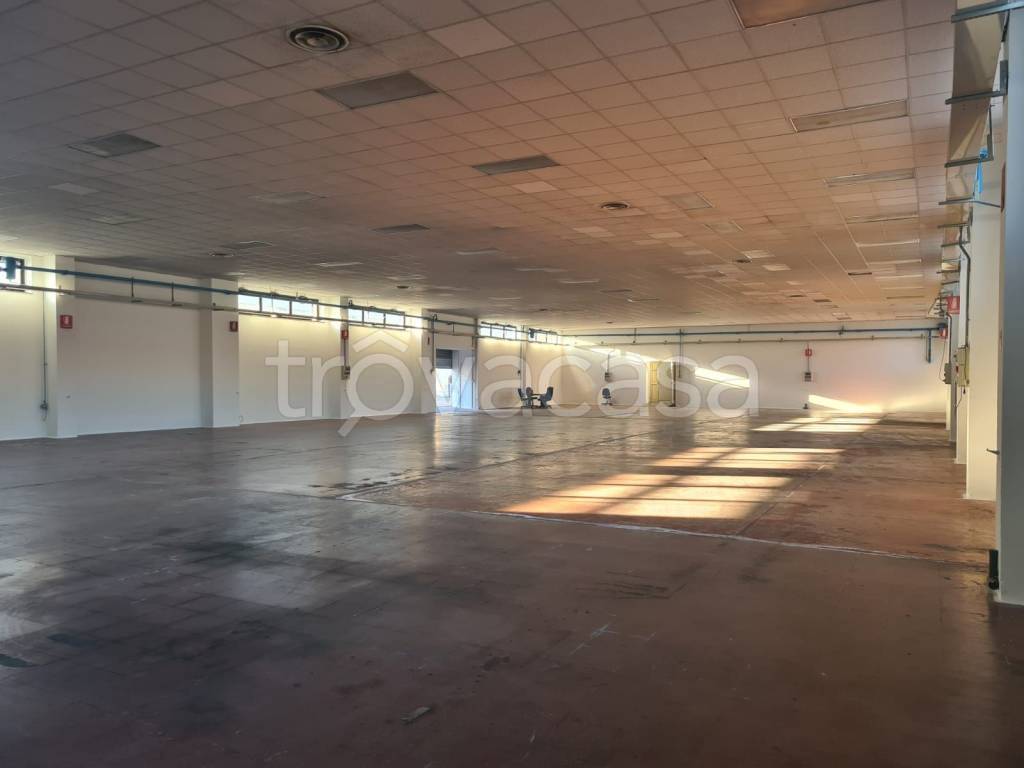 locale commerciale in affitto a Catanzaro in zona Catanzaro Sala