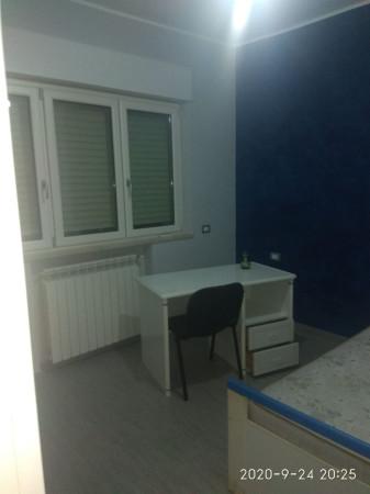 appartamento in affitto a Catanzaro