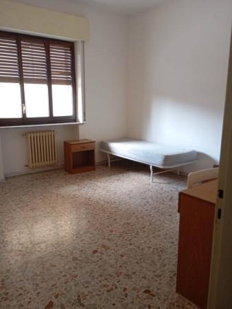 appartamento in affitto a Catanzaro