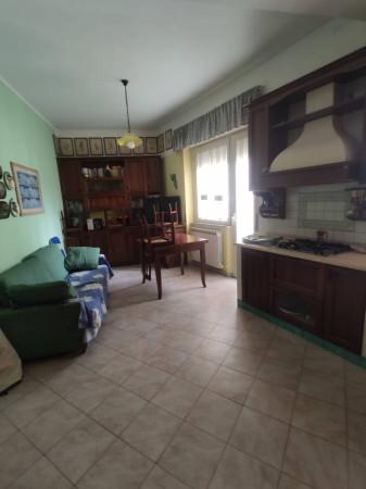 appartamento in affitto a Catanzaro