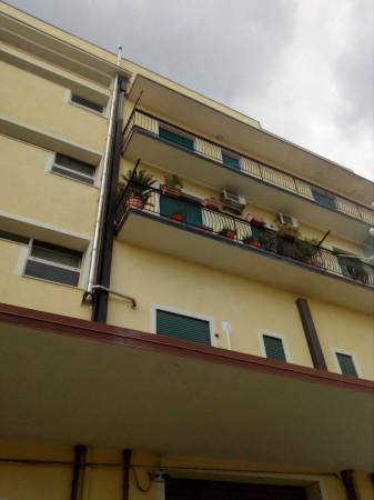 appartamento in affitto a Catanzaro in zona Catanzaro Lido