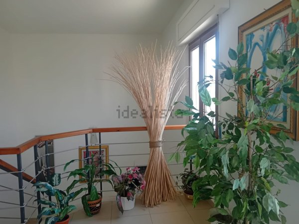 ufficio in affitto a Catanzaro