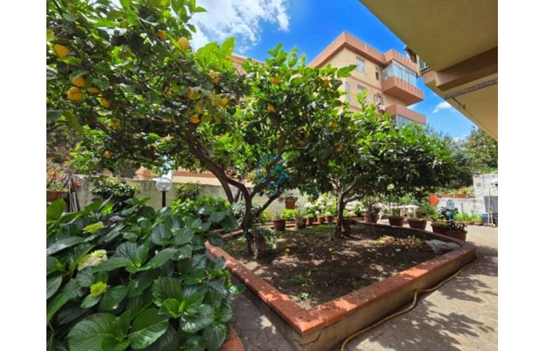 appartamento in affitto a Catanzaro in zona Catanzaro Lido