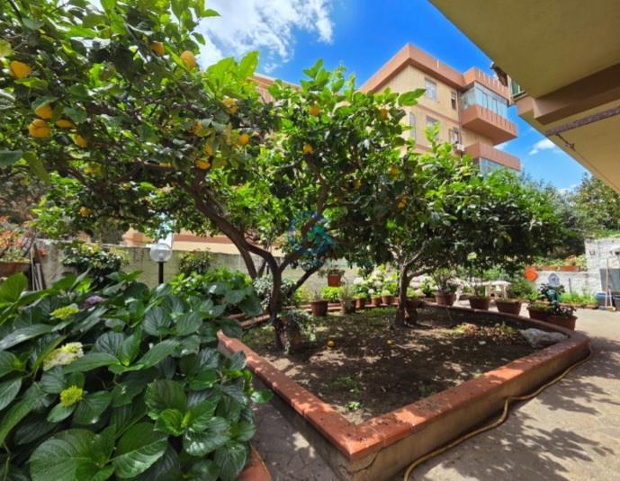 appartamento in affitto a Catanzaro in zona Catanzaro Lido