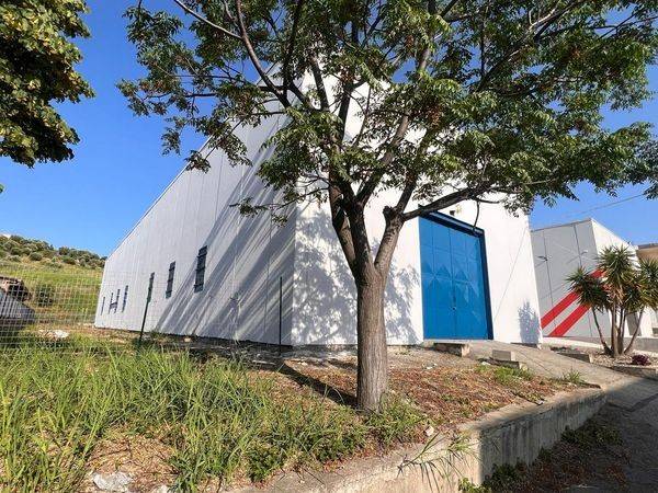 locale commerciale in affitto a Catanzaro in zona Catanzaro Lido