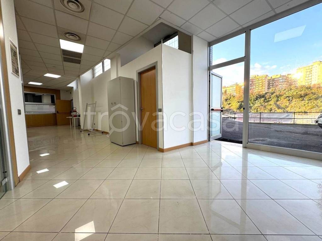 ufficio in affitto a Catanzaro in zona Centro Città