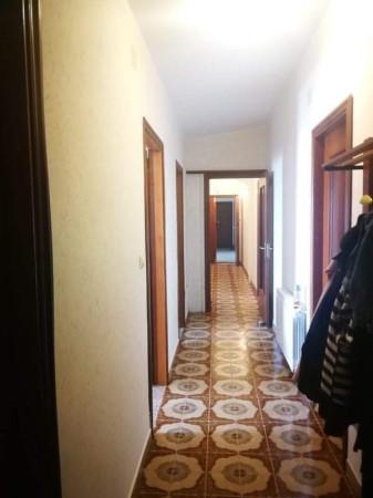 appartamento in affitto a Catanzaro in zona Catanzaro Lido