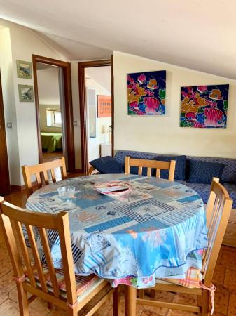 appartamento in affitto a Catanzaro in zona Catanzaro Lido