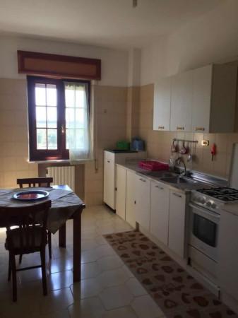 appartamento in affitto a Catanzaro in zona Catanzaro Lido