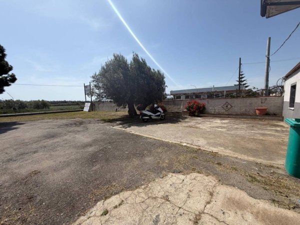 negozio in affitto a Catanzaro in zona Catanzaro Lido