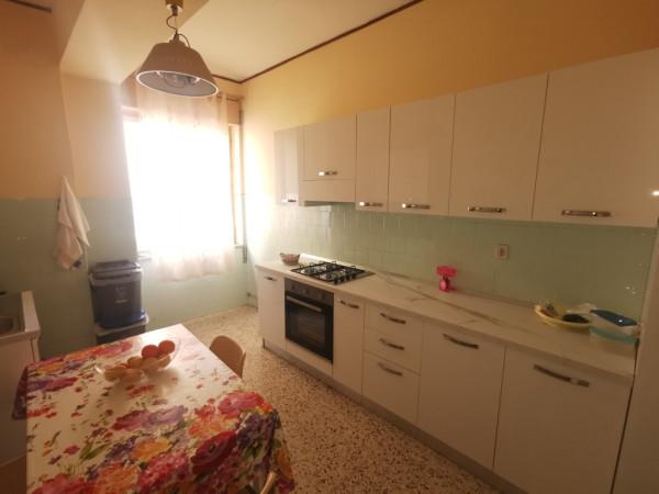 appartamento in affitto a Catanzaro