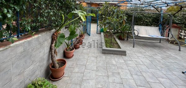 appartamento in affitto a Davoli