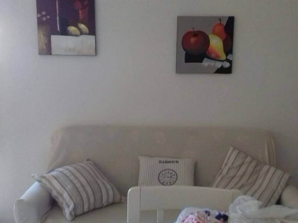 appartamento in affitto a Davoli