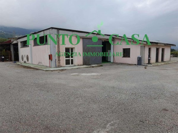 appartamento in affitto a Gizzeria