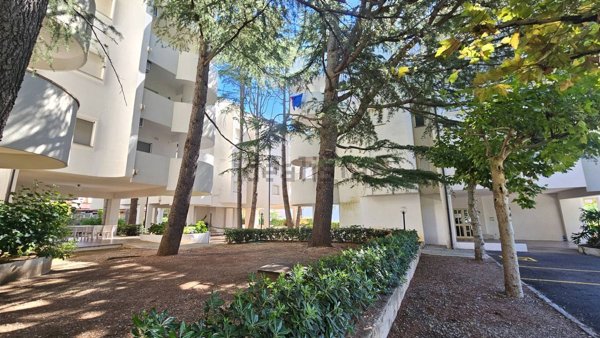 appartamento in affitto a Montauro