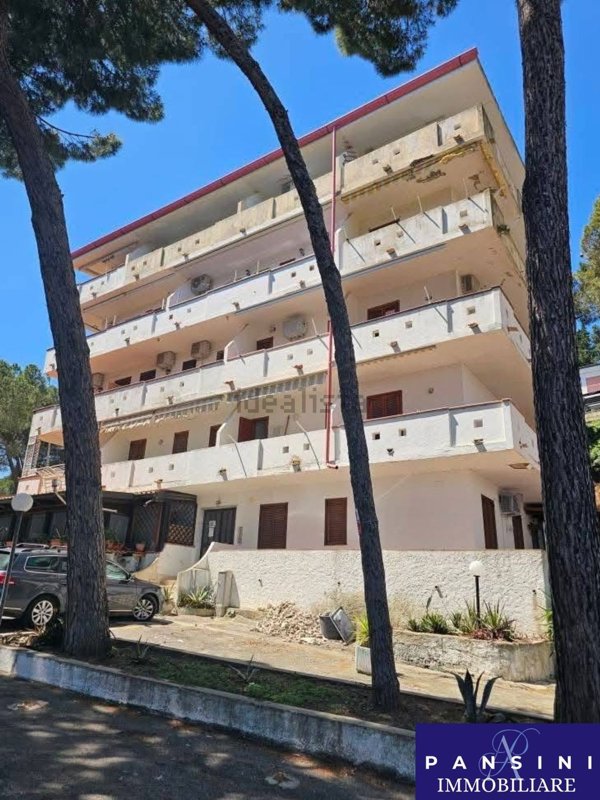 appartamento in affitto a Montauro