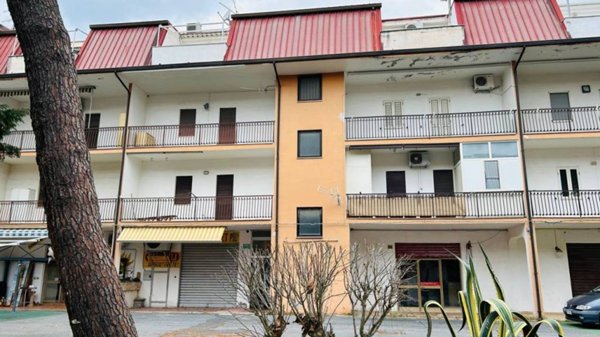 appartamento in affitto a Nocera Terinese