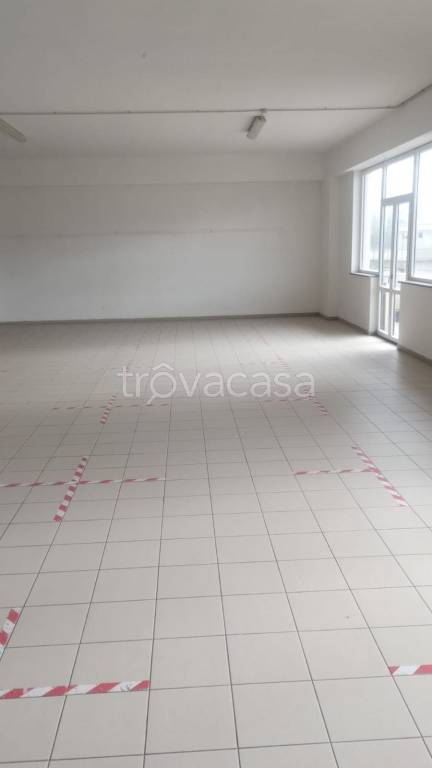 appartamento in affitto a Satriano