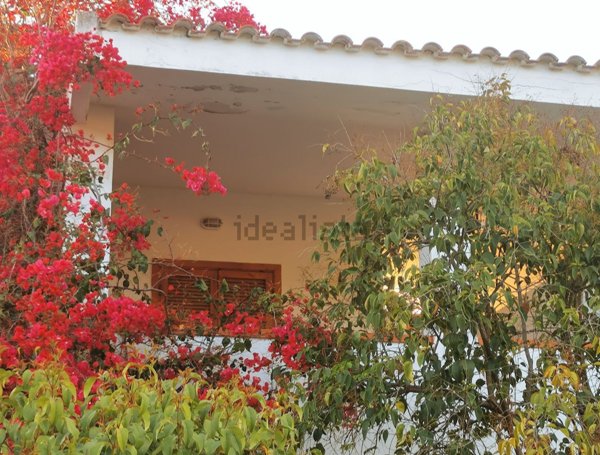 appartamento in affitto a Sellia Marina