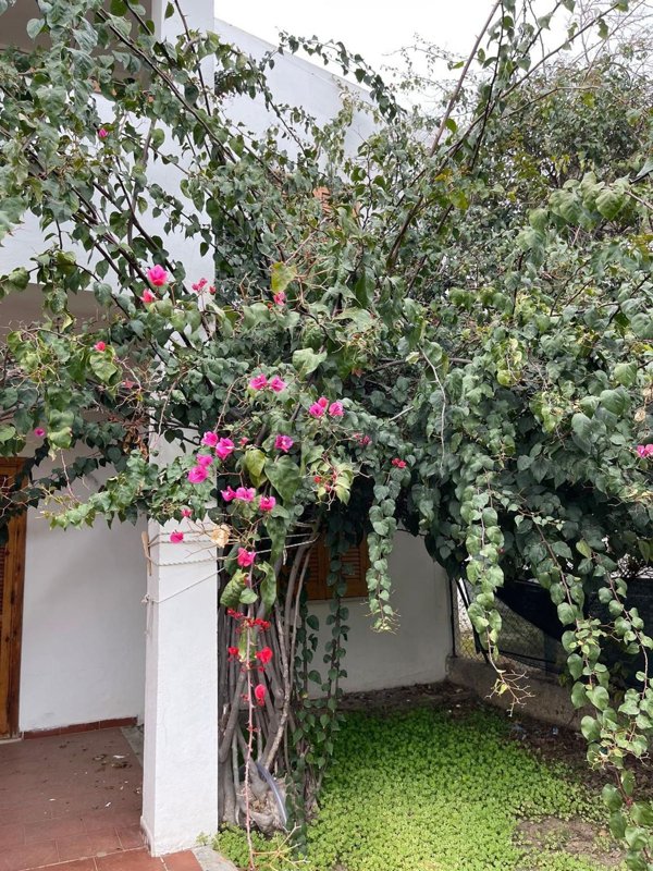 appartamento in affitto a Sellia Marina