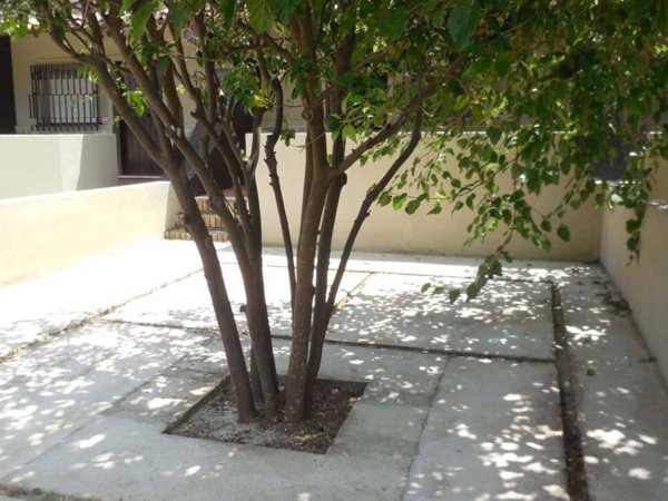 appartamento in affitto a Soverato