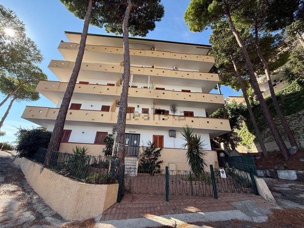 appartamento in affitto a Stalettì in zona Copanello