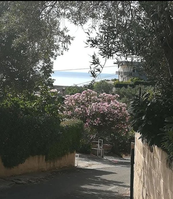 appartamento in affitto a Stalettì in zona Caminia