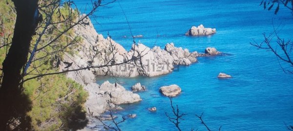 appartamento in affitto a Stalettì in zona Caminia
