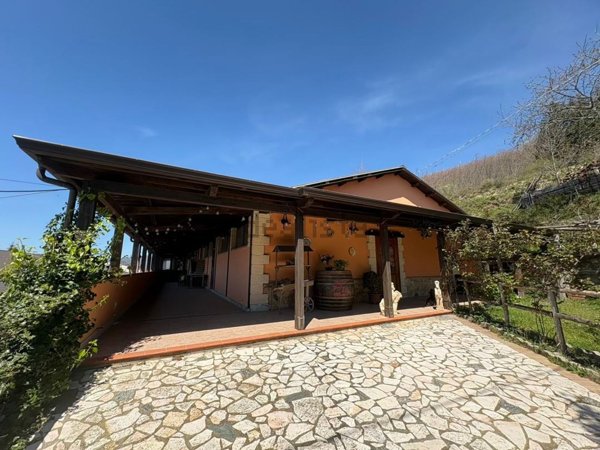 negozio in affitto a Tiriolo in zona Soluri