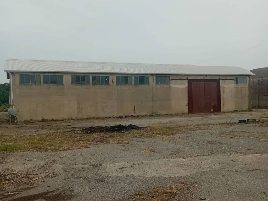 locale commerciale in affitto ad Ardore