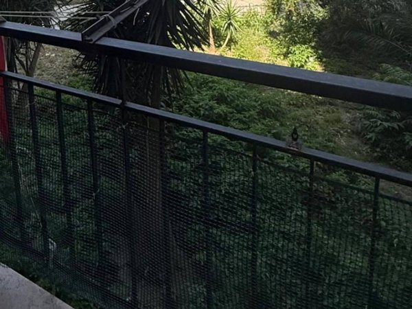 appartamento in affitto a Reggio di Calabria in zona Spirito Santo