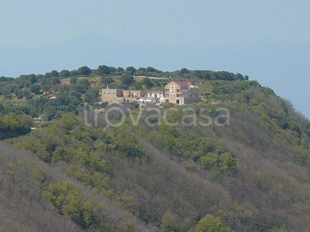 casa indipendente in affitto a Reggio di Calabria in zona Ortì