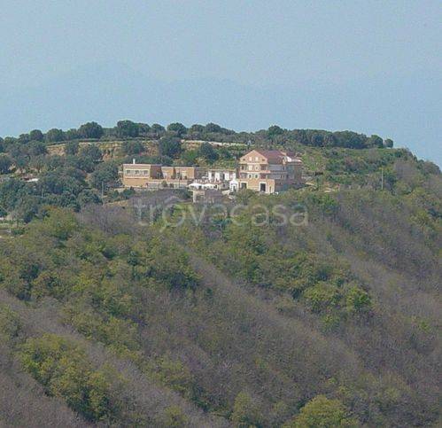casa indipendente in affitto a Reggio di Calabria in zona Ortì