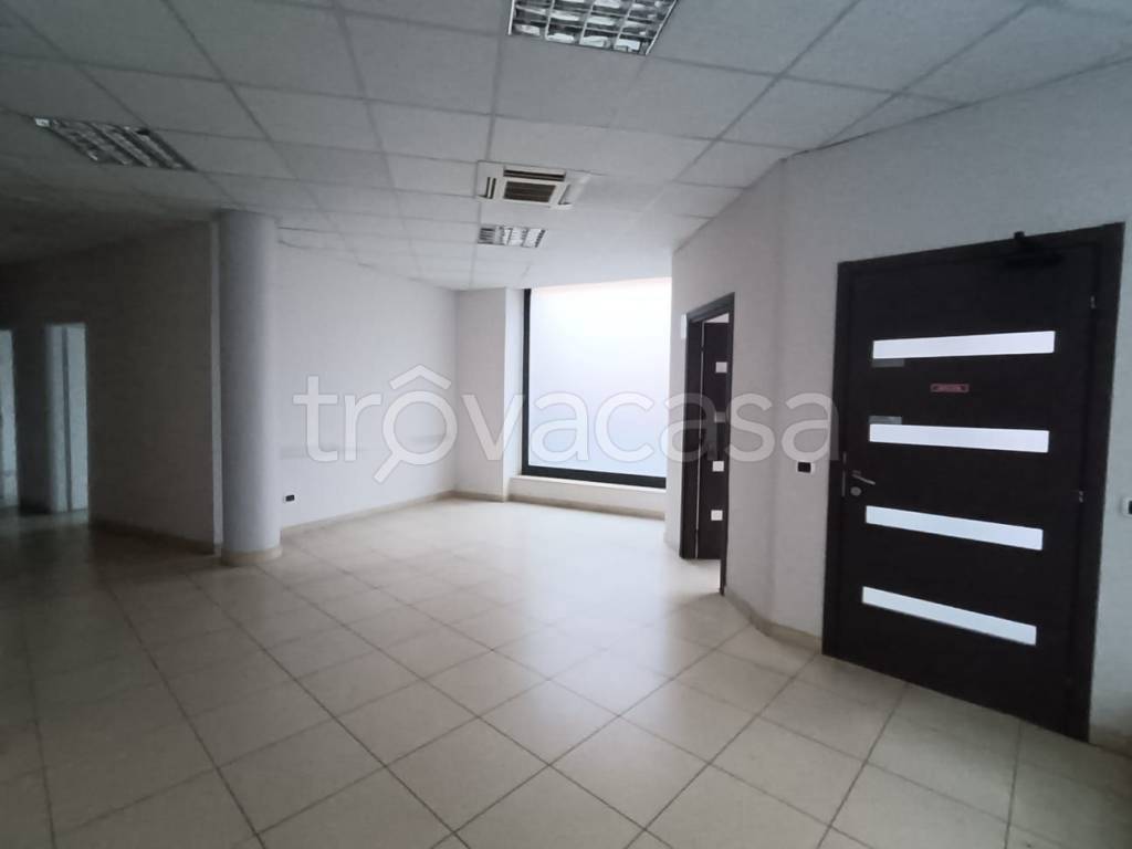 immagine annuncio 0 di 15