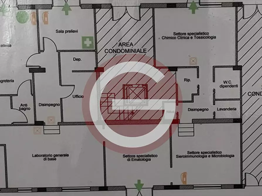 negozio in affitto a Taurianova